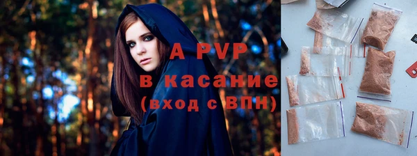 экстази Бородино