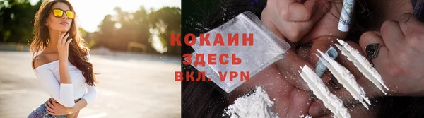 spice Верея