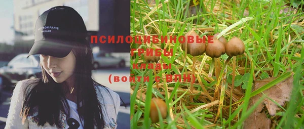 экстази Бородино