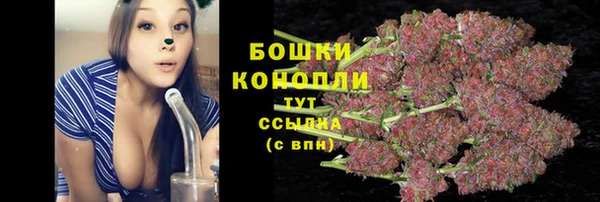 экстази Бородино