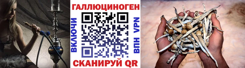Галлюциногенные грибы мицелий  Абакан 